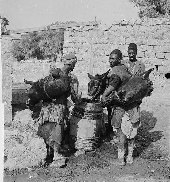 #51 Workers carrying waterskins, Circa 1900-1920