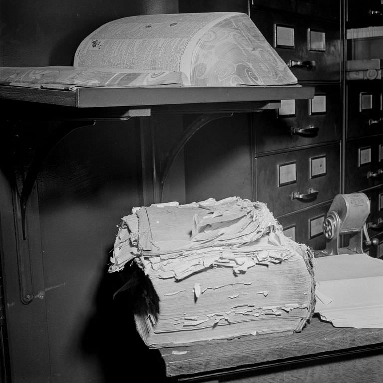 Old and new dictionaries in the “morgue.”