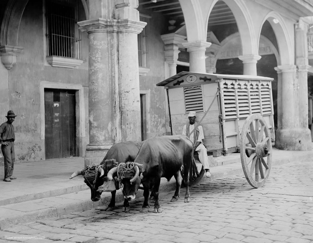 #9 A meat wagon, Havana, 1903