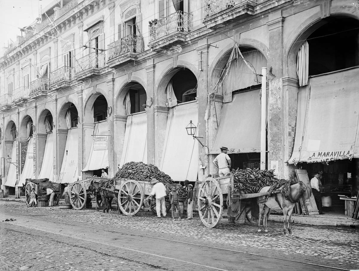 #35 Fruit wagons unload outside a market, Havana, 1900