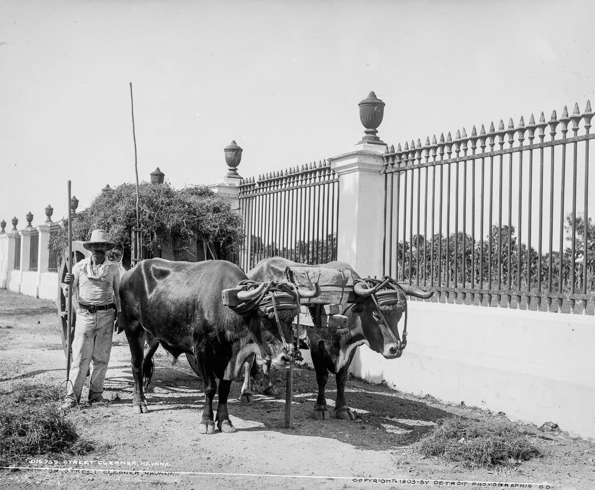 #26 A street cleaner, Havana, 1903