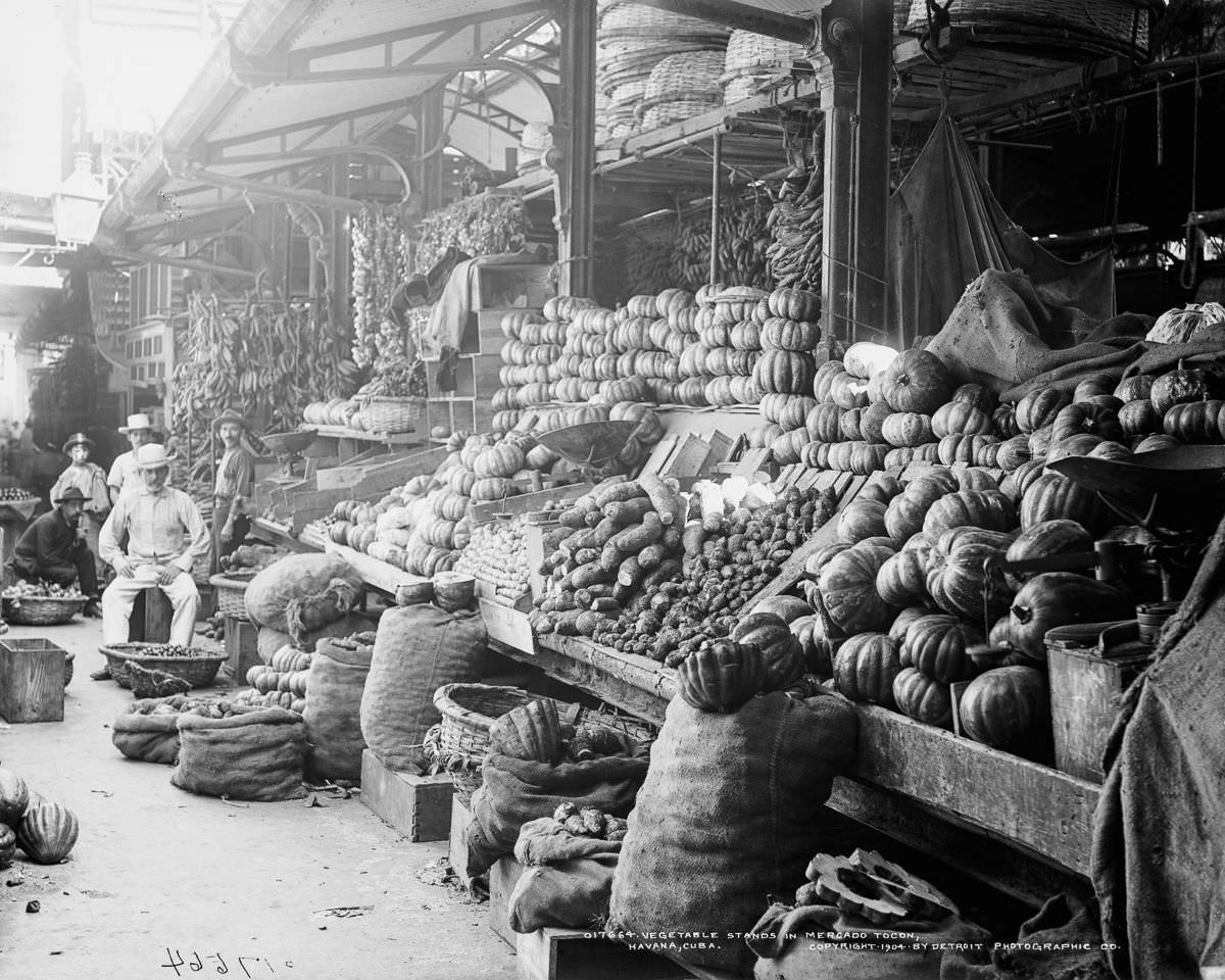 #18 Vegetable stands in Mercado Tocon, Havana, 1904