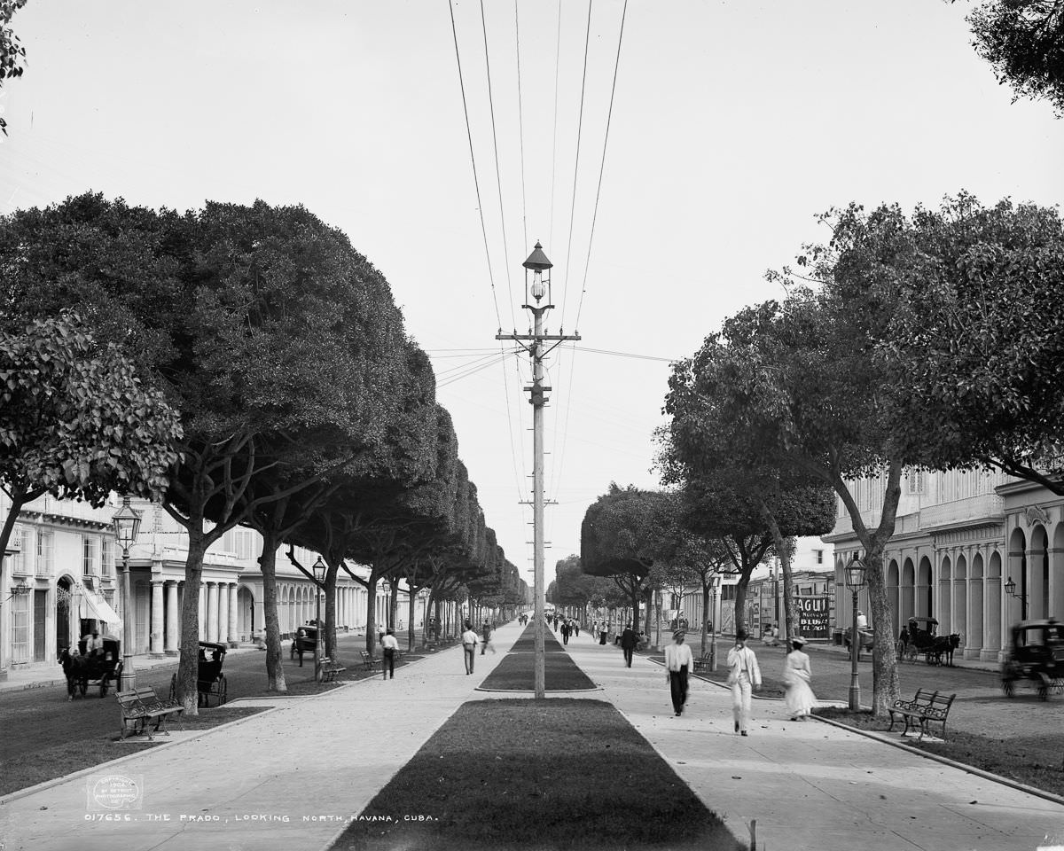 #27 A view looking north down the Paseo del Prado, Havana, 1900