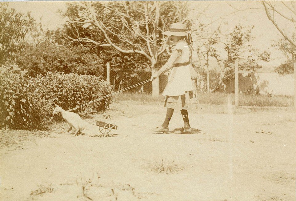 #33 A girl in a dress, stockings and a hat with her pet duck on a leash in the garden, taken circa 1885-1890.