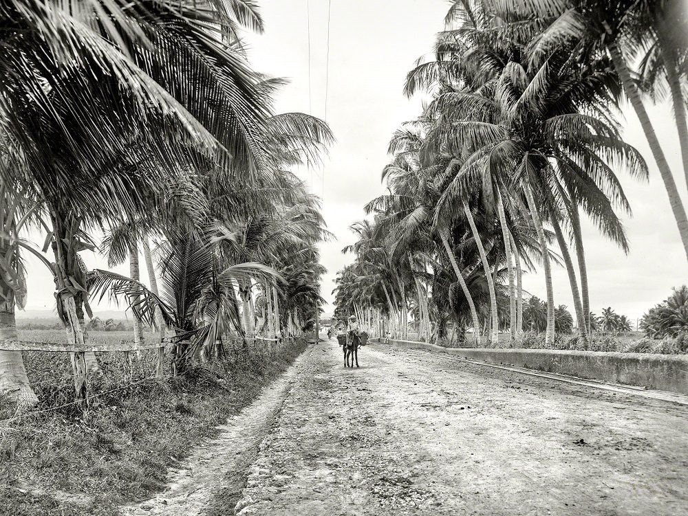 #7 The Military Road, San Juan, Puerto Rico, 1901