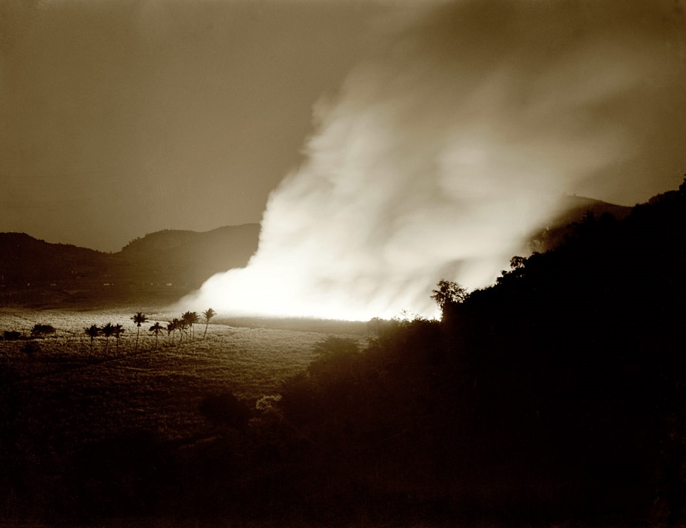 #27 Burning a sugar cane field., Guanica, Puerto Rico, January 1942