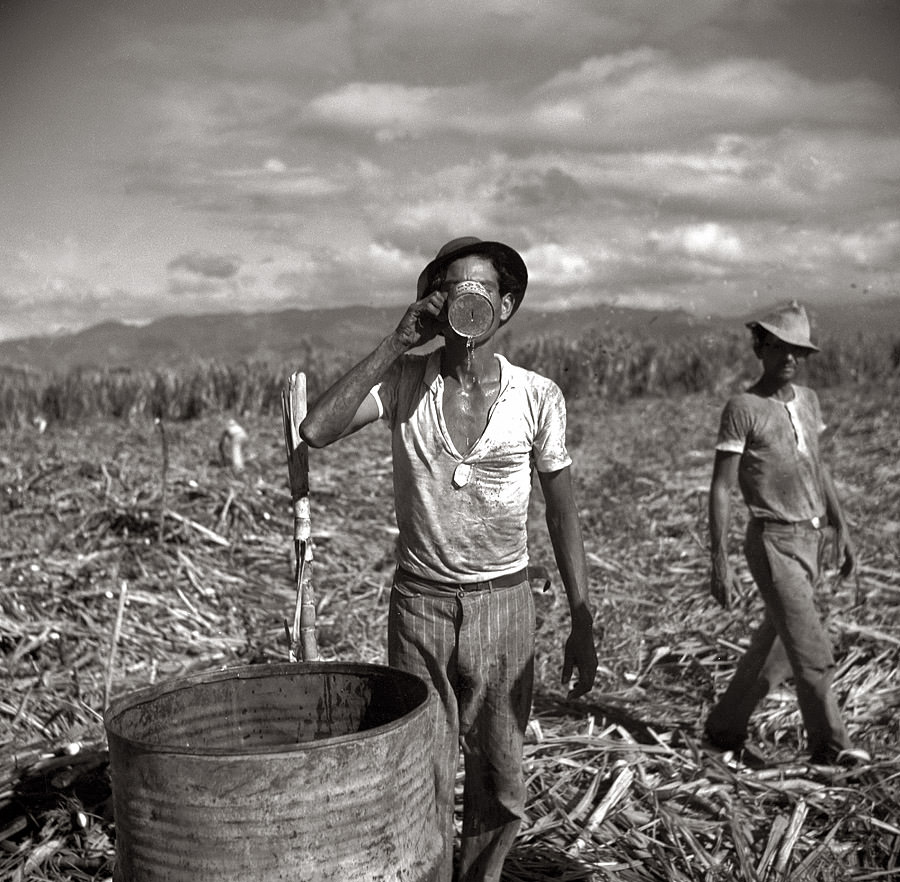 #13 Agricultural workers on a sugar plantation near Ponce, Puerto Rico, January 1938