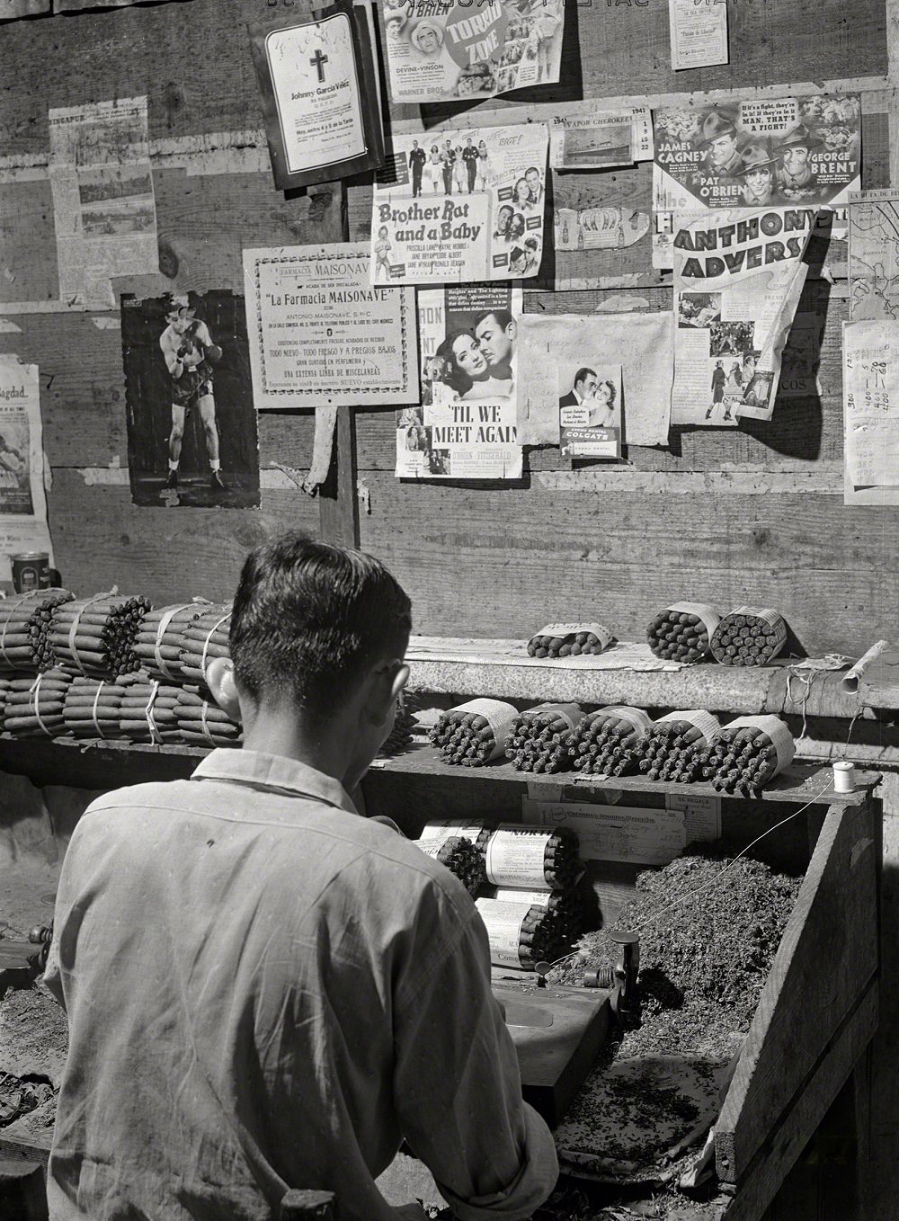 #9 A worker making cigars in a small cigar factory, Yauco, Puerto Rico, January 1942