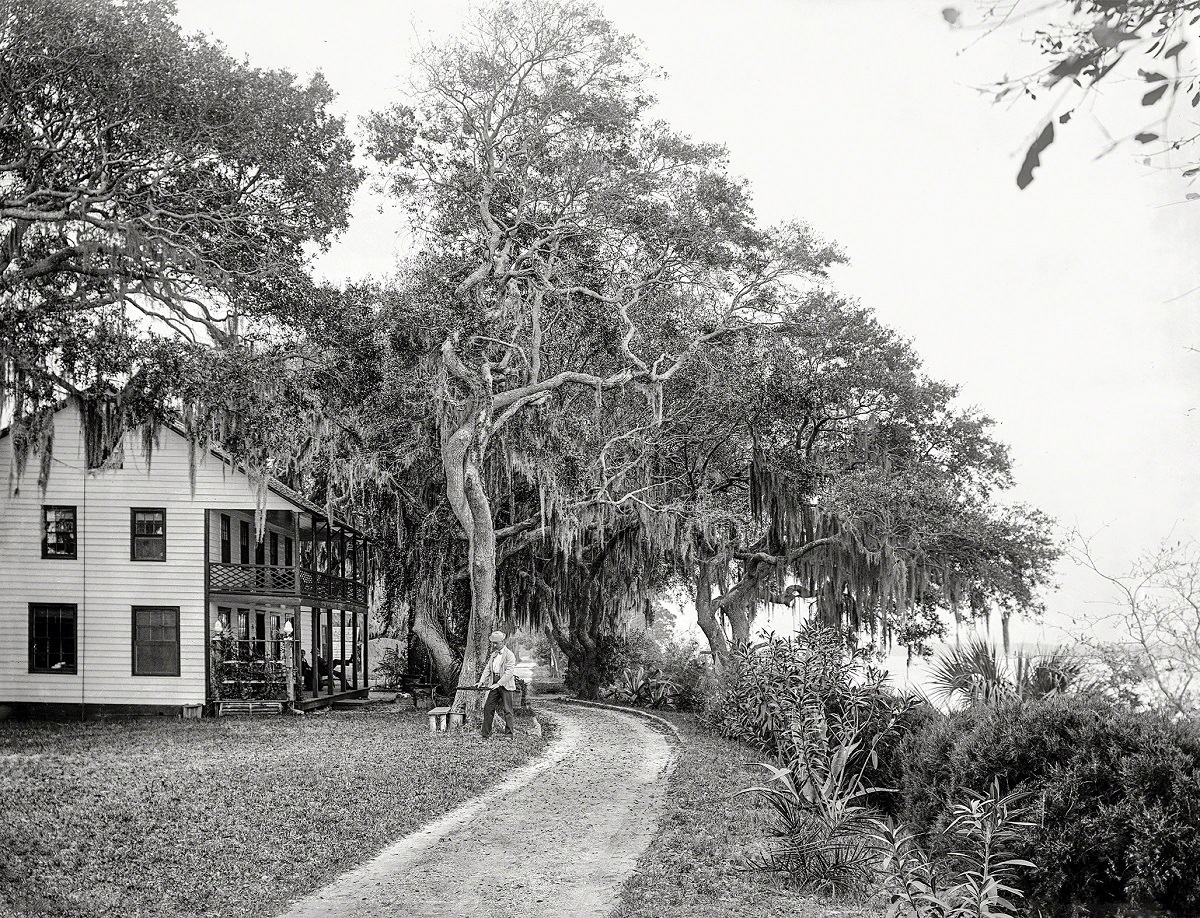 #17 Bostrom’s on the Halifax near Ormond, Volusia County, Florida, circa 1890.