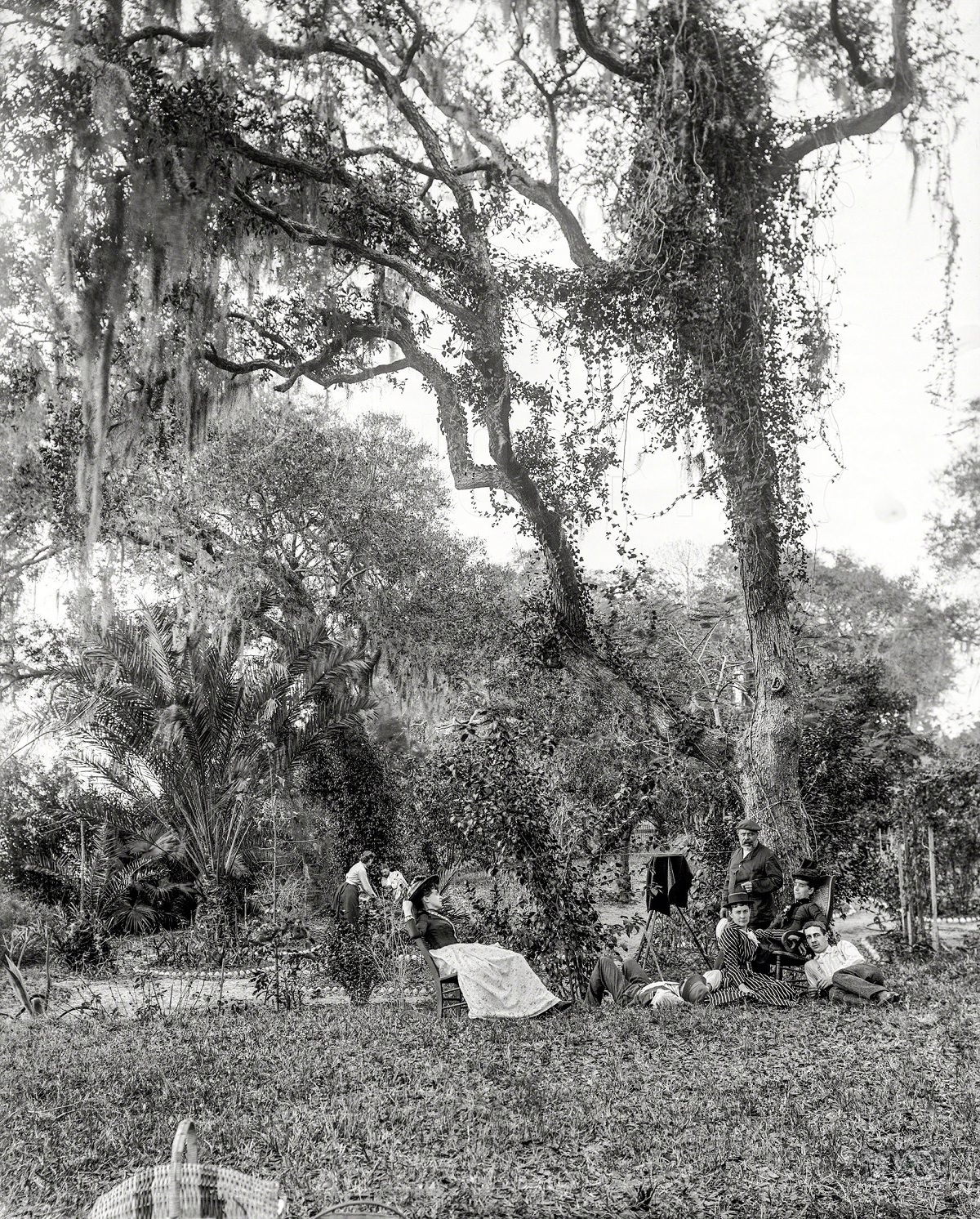#19 A garden near Daytona, Volusia County, Florida, circa 1897