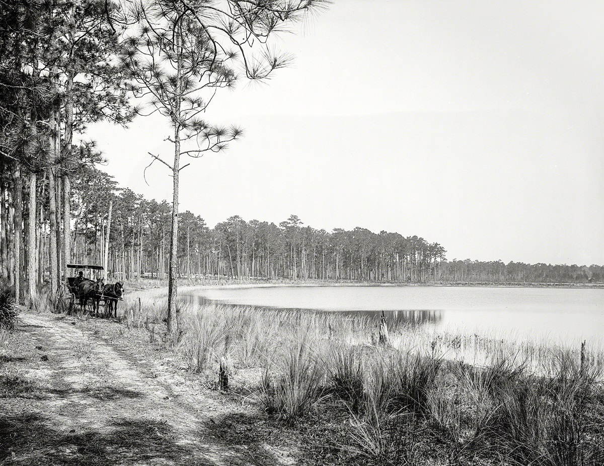 #20 Lake Louise, near Seville, Volusia County, Florida, circa 1897