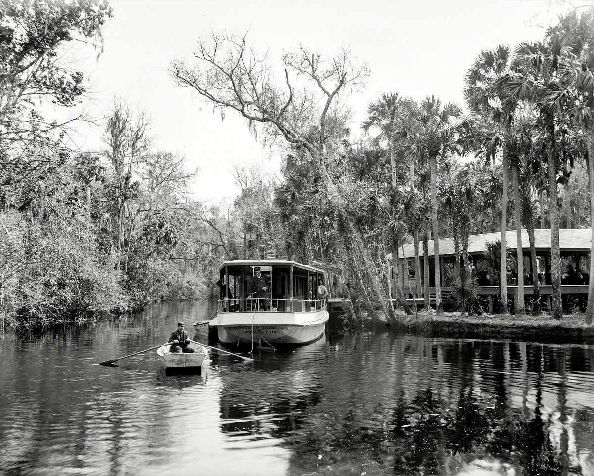 #21 Princess Issena at Tomoka landing, Ormond, Florida, 1899
