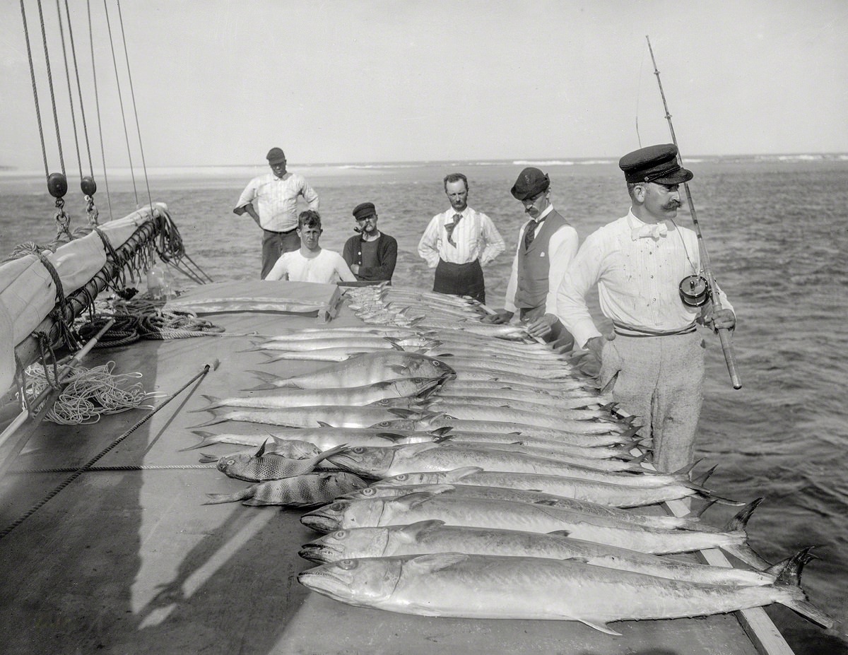 #24 Sport fishing, Palm Beach, Florida, 1894