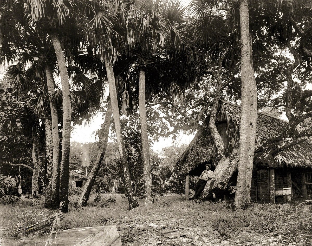 #42 Dawson’s, Gem Island, Indian River County, Florida, circa 1890