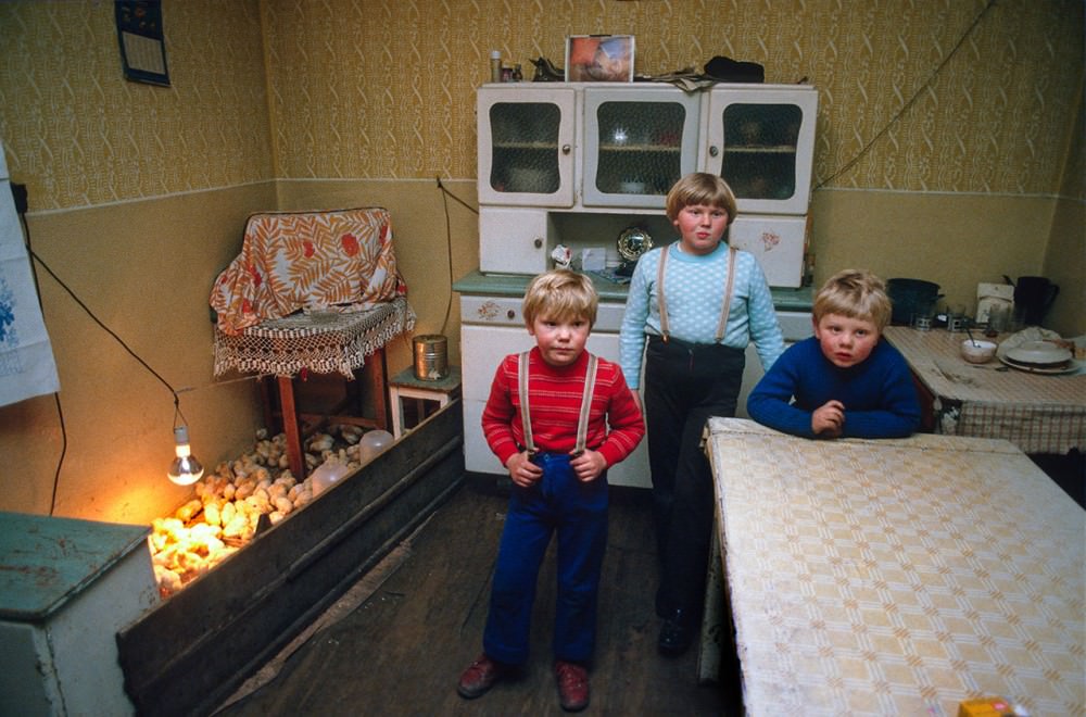 #1 Young boys rearing chicks at home, Leszno, martial law, 1982.