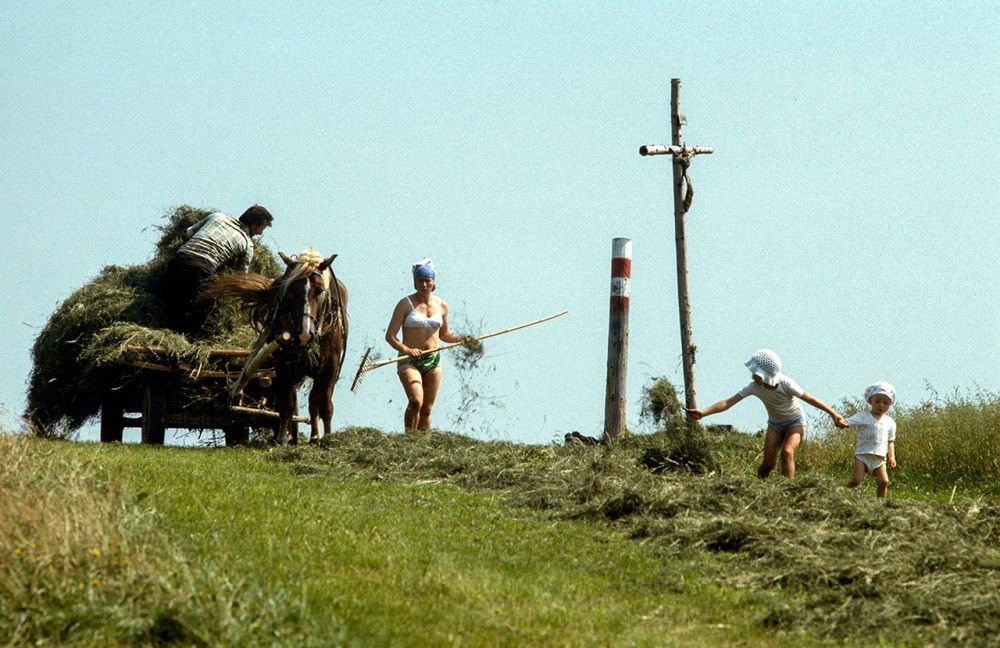 #3 Family at work in the fields, 1980s.