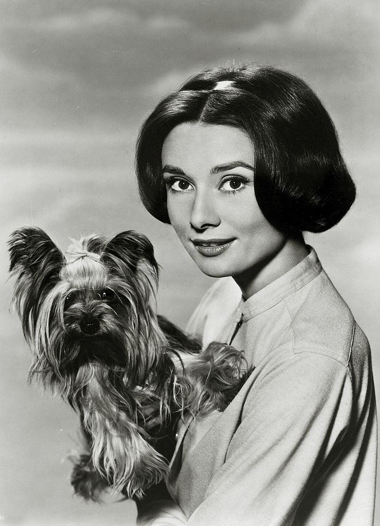 #47 Audrey Hepburn with her dog, 1952.