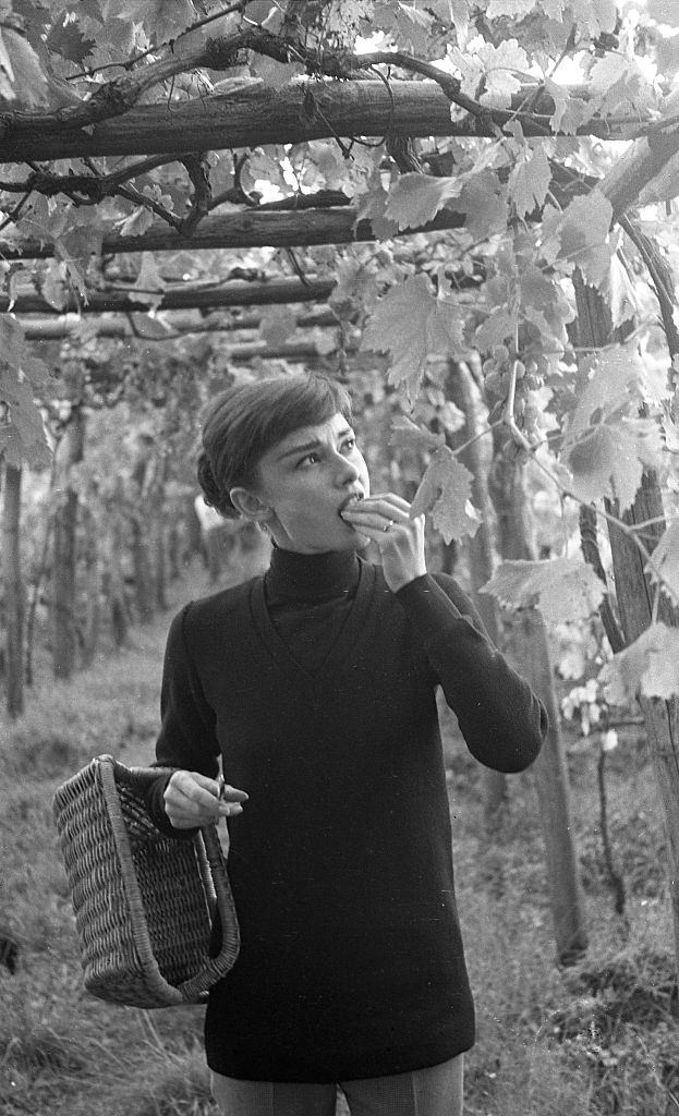 #52 Audrey Hepburn Tasting Grapes in her Italian Vineyard , 1955.