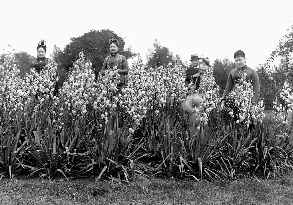 #36 Prosperous family poses in an Belgian estate garden, Belgium, 1900.