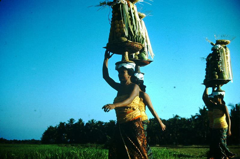 #64 Temple offerings, Bali, 1952