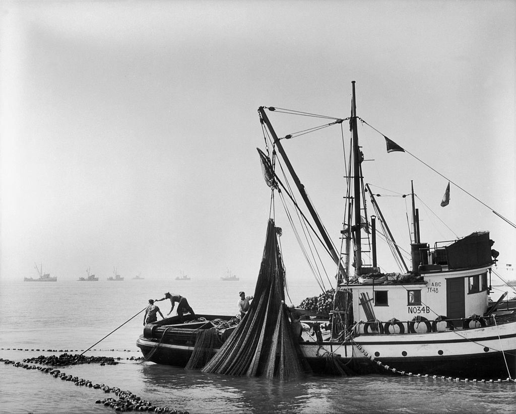 #6 A dragger taking up a net of fish in the gulf of Georgia off Vancouver, 1950s.