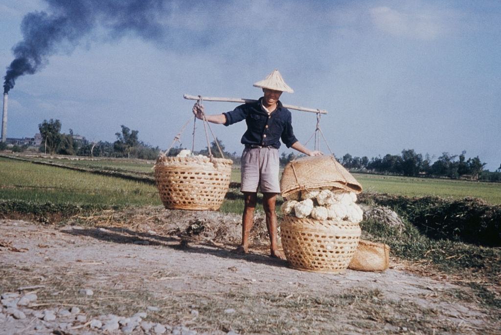 #31 A farmer carrying cauliflowers on a yoke in Pingtung County, Taiwan, circa 1965.