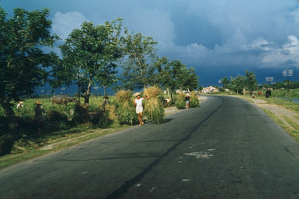 #16 Pingtung Highway, Taiwan, 1965.