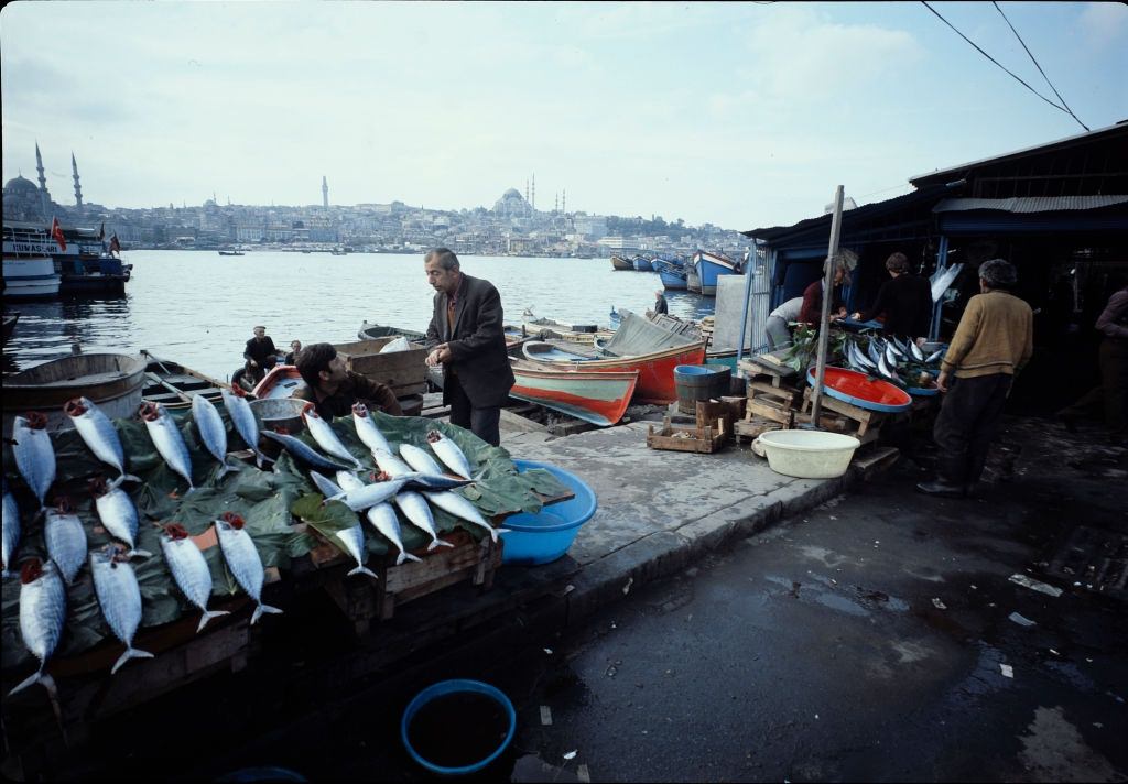 #22 Fish market at Bosporus, Istanbul 1976