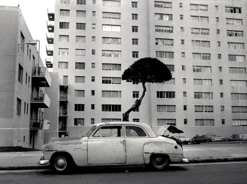 #52 Public housing projects, Turk Street, Western Addition district, San Francisco, 1978