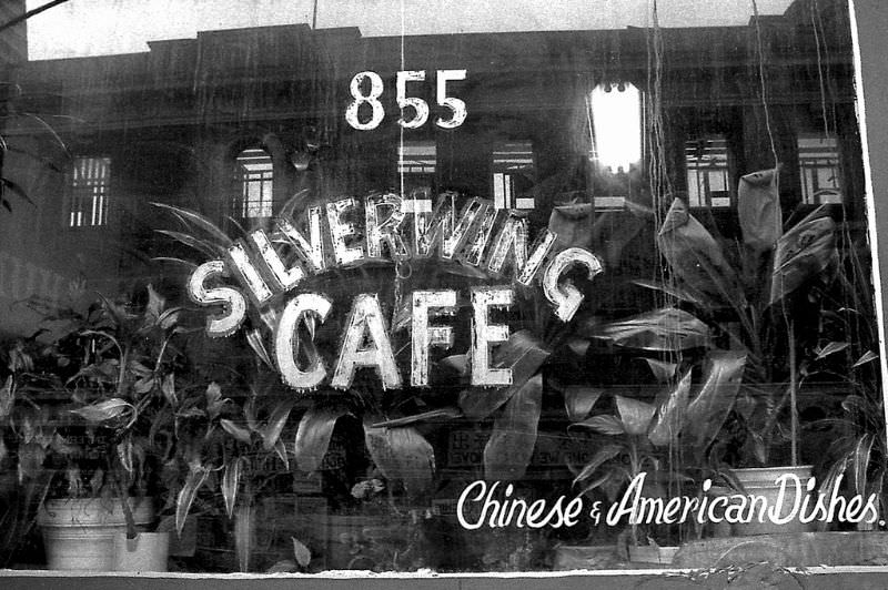 #53 Silverwing Cafe on Kearny Street, old International Hotel can be seen in the window reflection, 855 Kearny Street, Chinatown, San Francisco, 1978