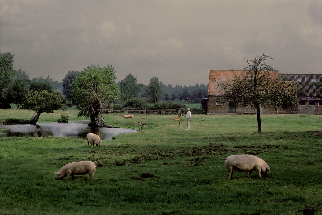 #28 Painter in a field, West Flander, 1988.