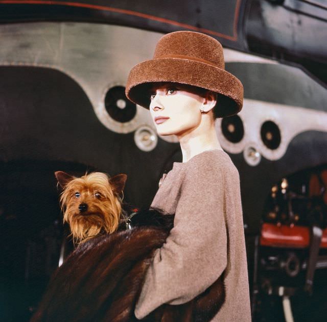 #21 Audrey Hepburn carrying her dog Mr. Famous while wearing a fur hat on the set of ‘Funny Face’, 1956.