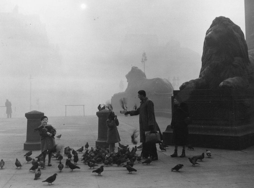 #15 A family feeding the famous pigeons on a foggy morning in London’s Trafalgar Square, in front of two of Landseer’s lions, December 1952.