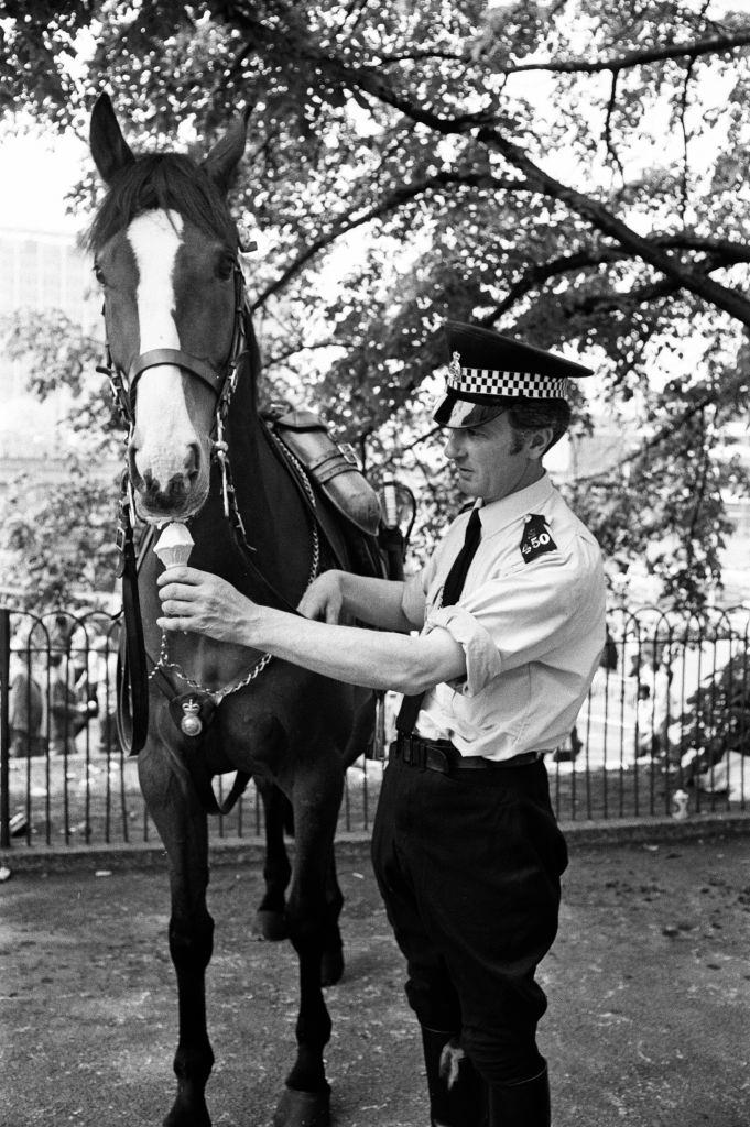 #36 A police man offering an ice cream to his horse, 8th May 1976.