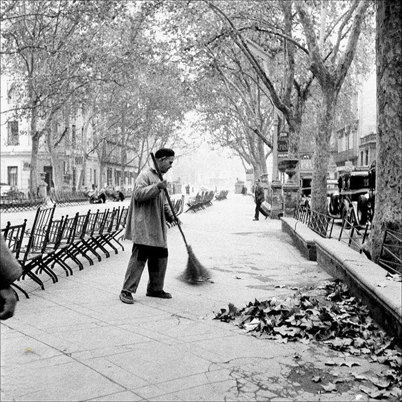#53 Group of people photographed looking at the descent of the Fornalutx bull, 1957