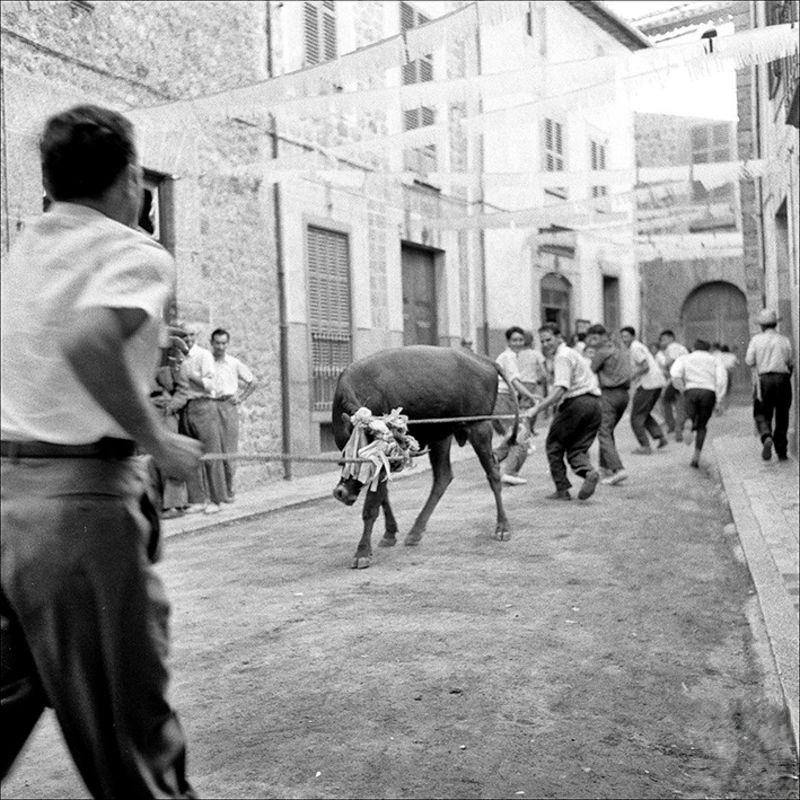#68 Men and bull in a street in Fornalutx, 1957