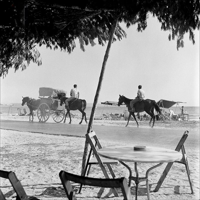 #18 Horses passing along road at beach near Palma, 1956