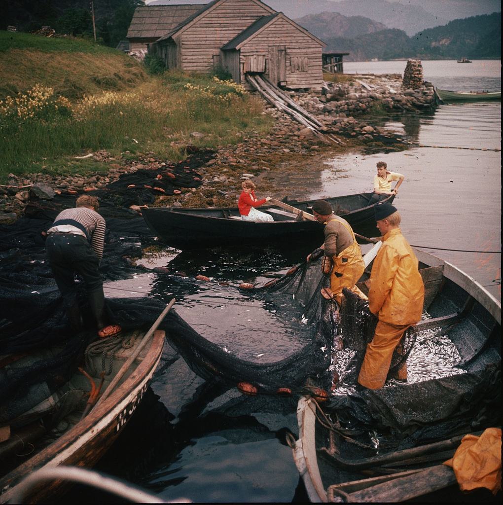 #2 Fishermen haul in nets in the Ouiske Fjord, Norway, 1958.