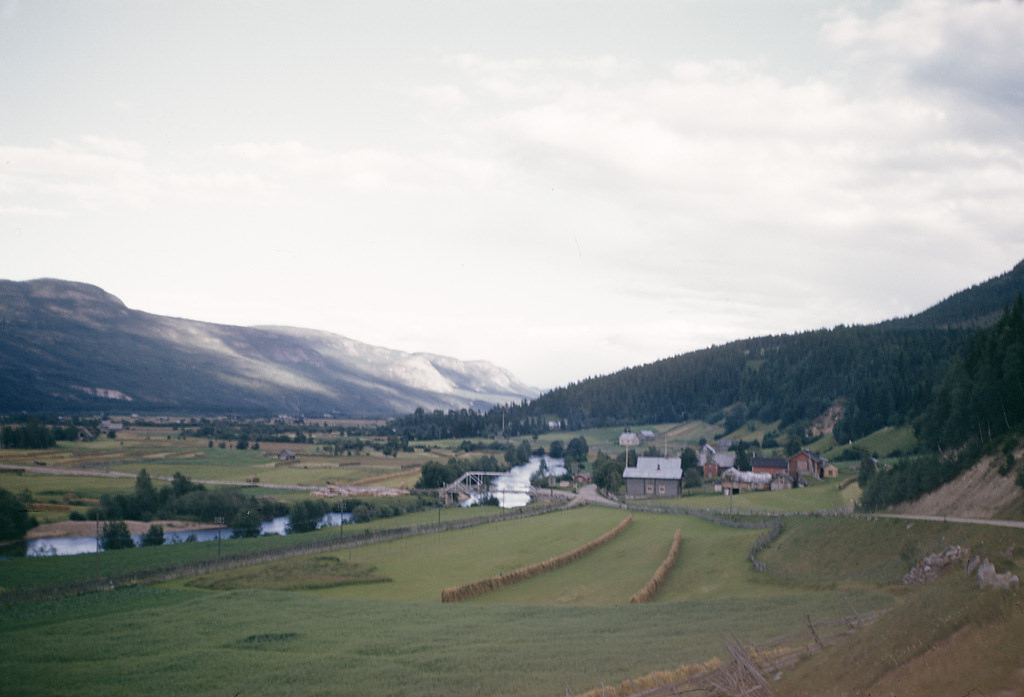 #59 The Royal Palace in Oslo, with scaffolding