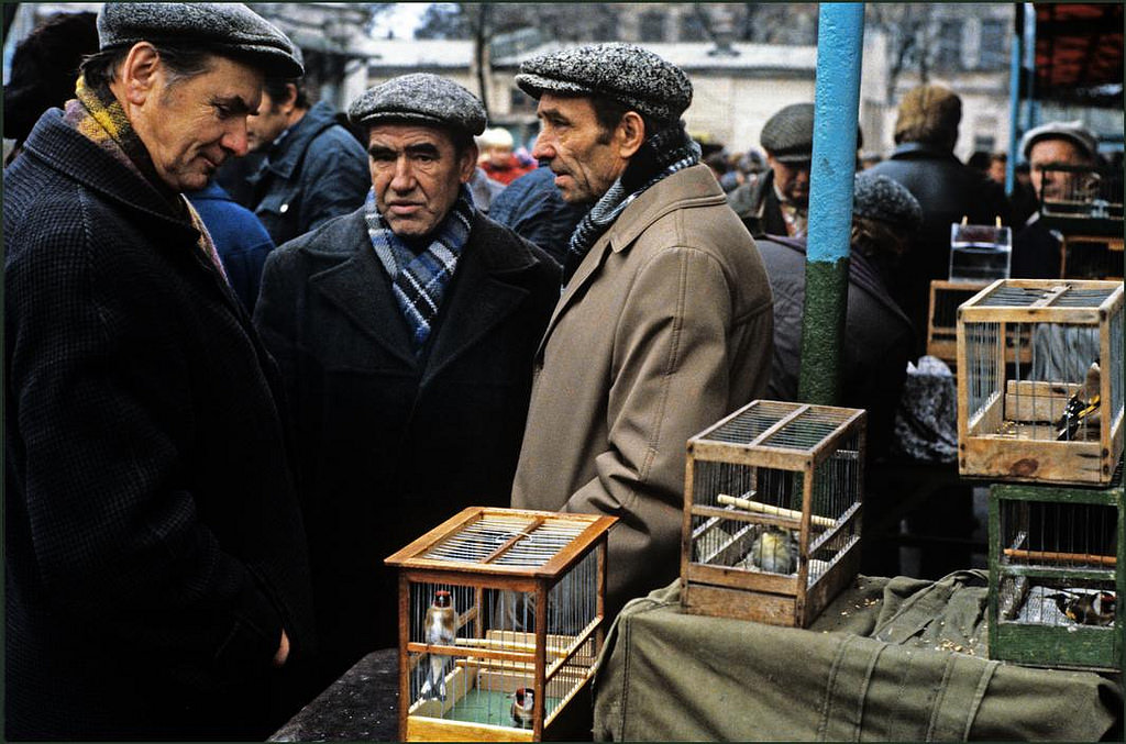 #30 Men wearing caps and winter clothes discuss the merits of a bird at the pet market.