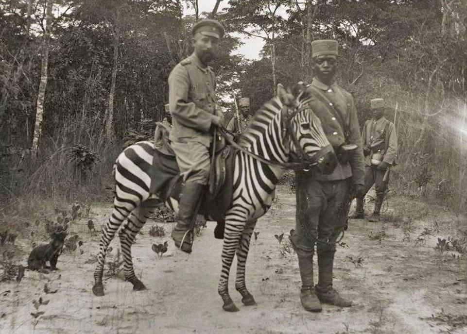 #6 A German soldier is riding a zebra in Zanzibar, ca. 1890s.