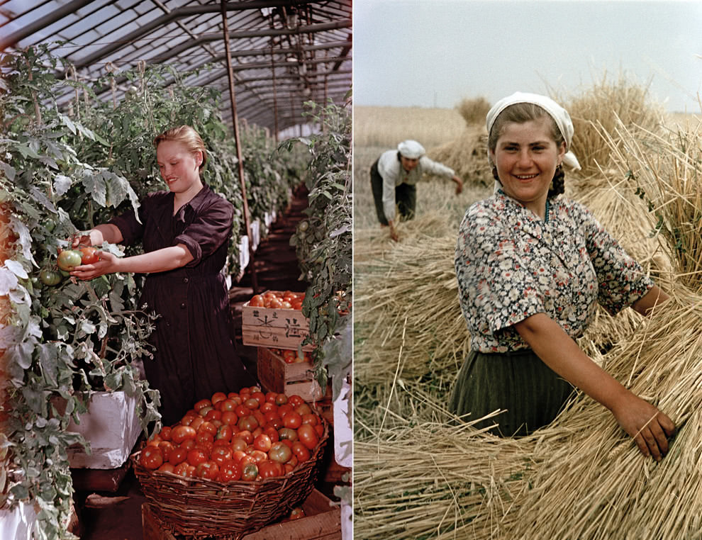 #8 Moscow Oblast (left) / Ukrainian SSR (right)