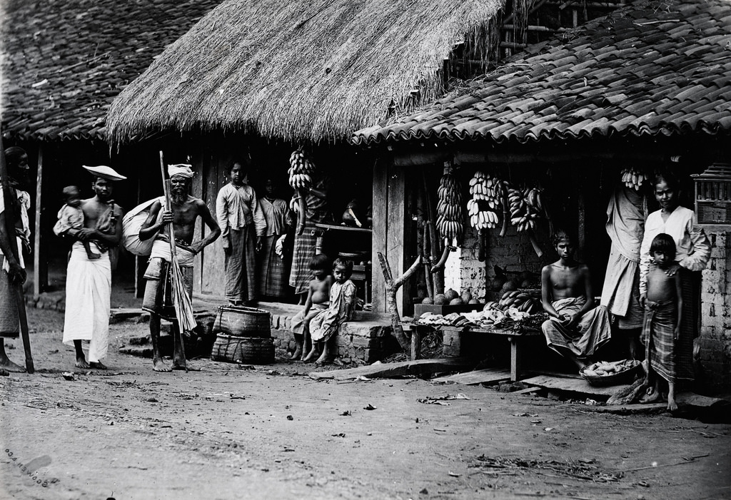 #50 Village scene near Kandy, Sri Lanka, 1880s
