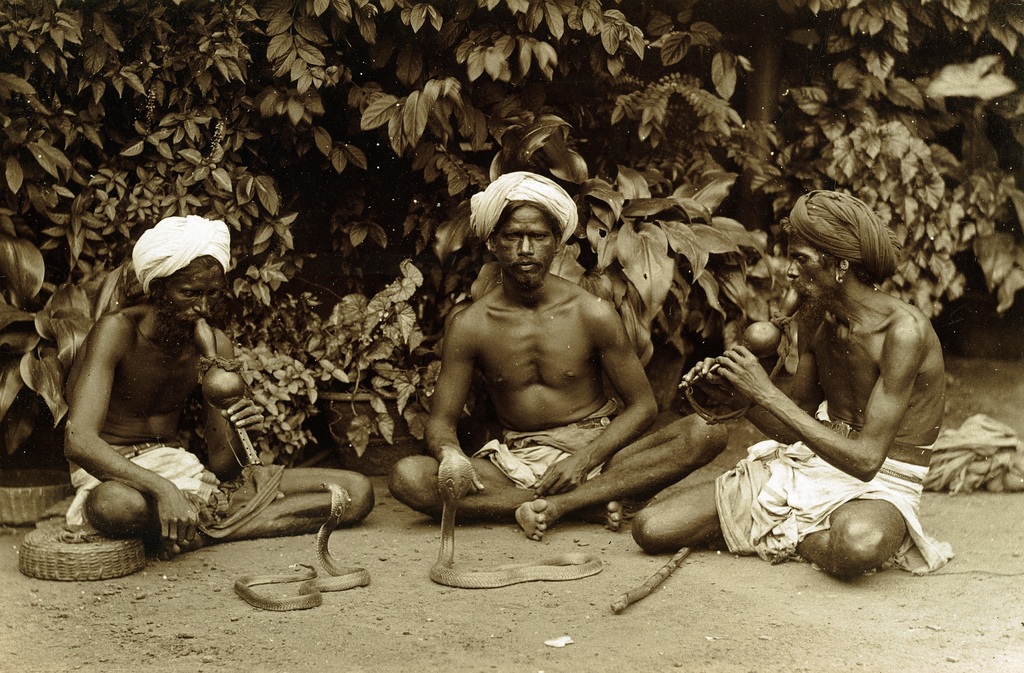 #28 Snake charmers, Sri Lanka, 1880s