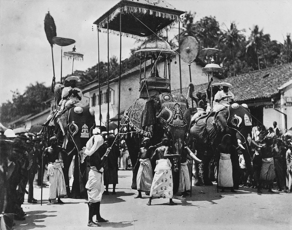 #33 Elephants carrying shrines and worshippers in a Buddhist procession in Colombo, Sri Lanka, 1880.