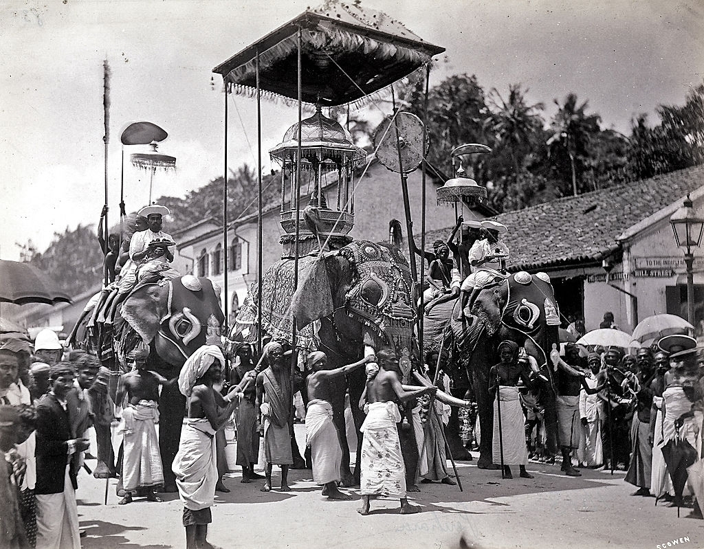 #35 Indian religious festival with a parade of elephants at Peschava in Ceylon (Sri Lanka), 1880s.