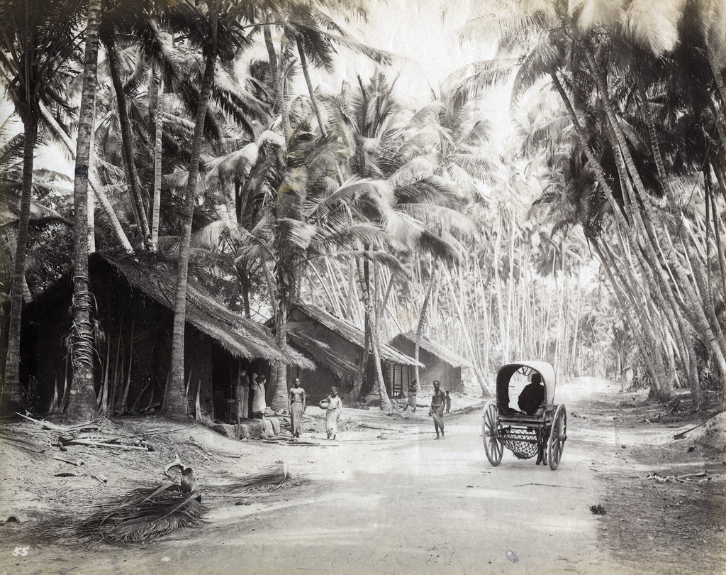 #21 Country road, Colombo, Sri Lanka, 1880s