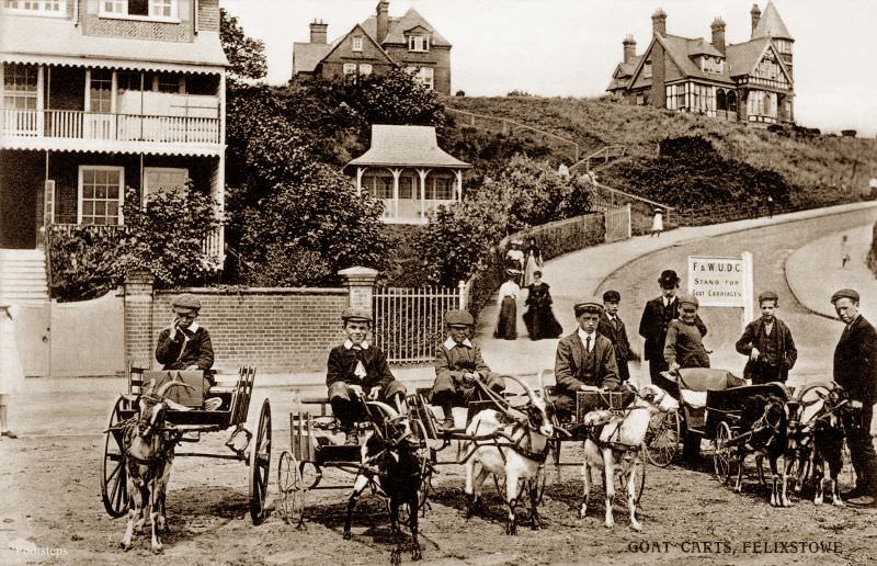 #35 Goat carts, Felixstowe, Suffolk