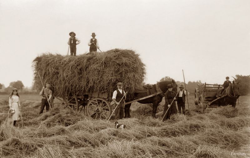 #38 Harvesting at Whitehouse Farm, Harleston near Stowmarket, Suffolk