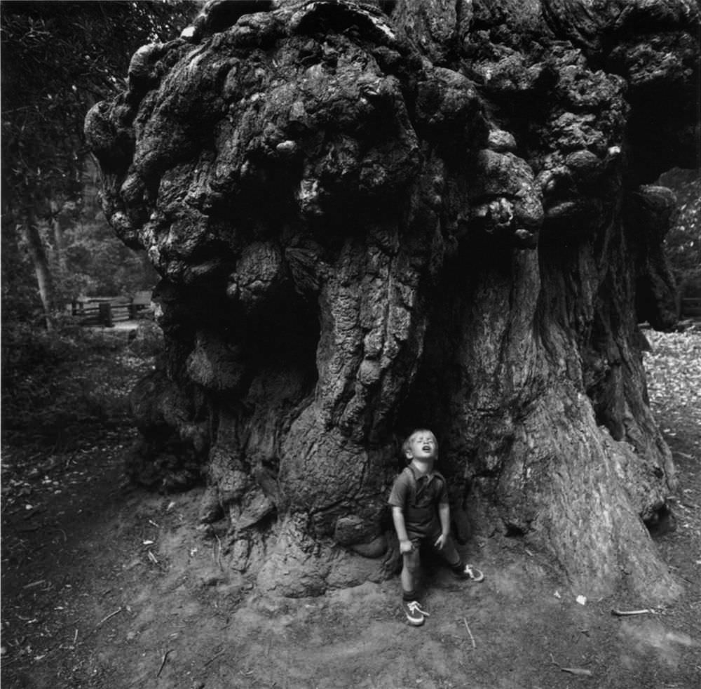 The Dream Collector: Photographer Recreated Childhood’s Nightmare From the 1960s Photography